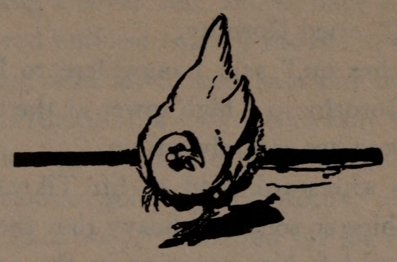 Illustration from Ozma of Oz, page 74